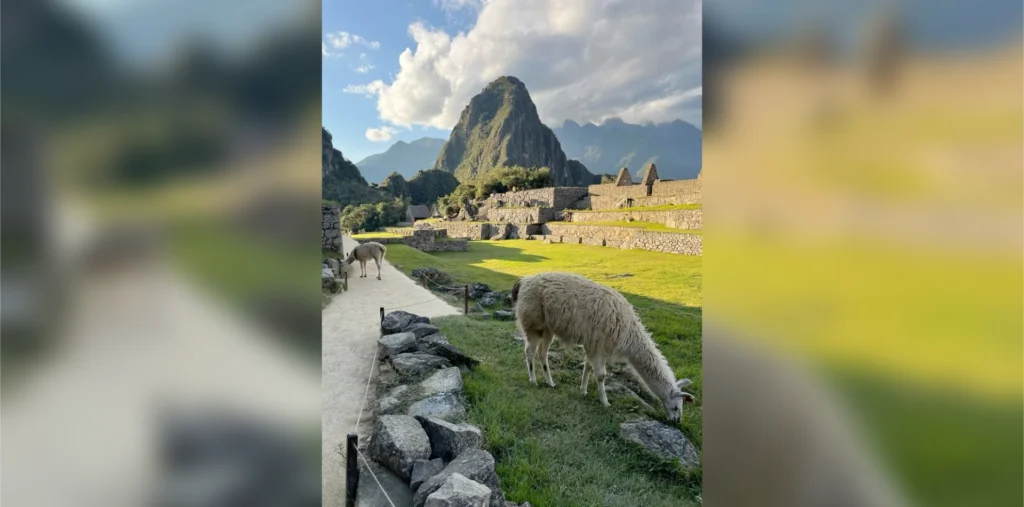 Camino Inca Corto 2 Días 1 Noche