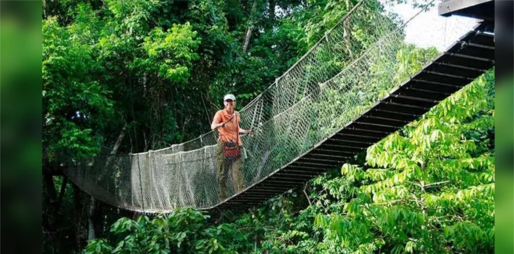 Tour Parque Nacional del Manu 4 Días