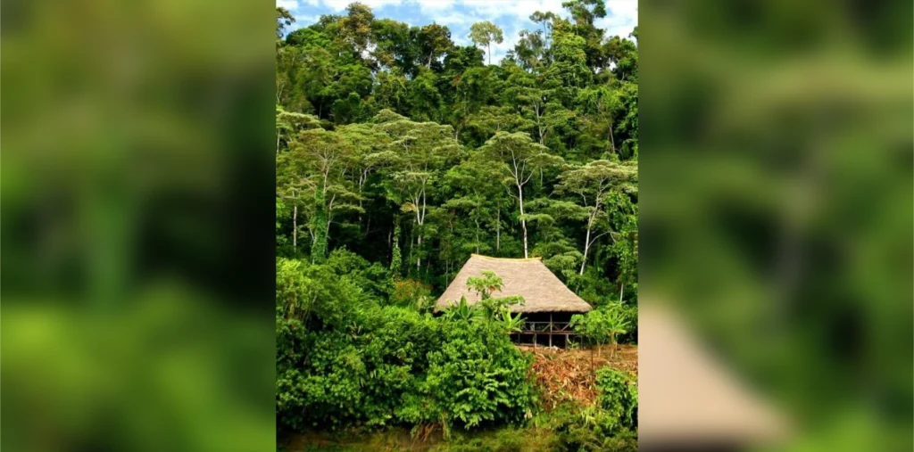 Tour Parque Nacional del Manu 4 Días